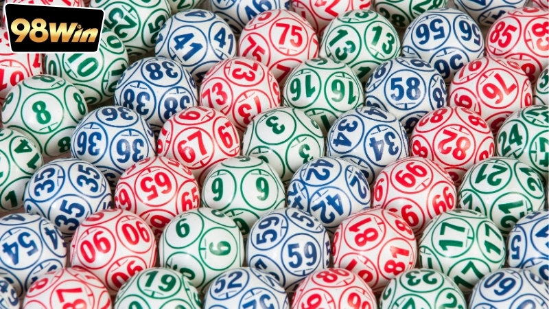 Nuôi Đề Khung 3 Ngày - Chia Sẻ Kinh Nghiệm Thành Công 4 nuoi-de-khung-3-ngay